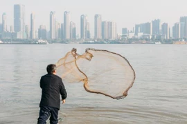 Trung Quốc thực thi lệnh cấm đánh bắt cá 10 năm trên sông Dương Tử. (Nguồn: Alamy)