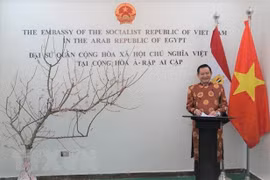Đại sứ Việt Nam tại Ai Cập Trần Thành Công phát biểu tại sự kiện Tết cộng đồng mừng Xuân Canh Tý ở Cairo. (Ảnh: Anh Tuấn/TTXVN)