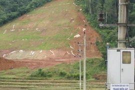 Cỏ lạ được trồng trên đường cao tốc Nội Bài-Lào Cai. (Nguồn: Vietnamnet)