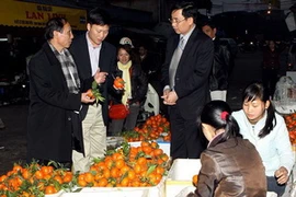 Kiểm tra an toàn vệ sinh thực phẩm tại chợ đầu mối Long Biên tối 12/1/2012. (Ảnh: Dương Ngọc/TTXVN)