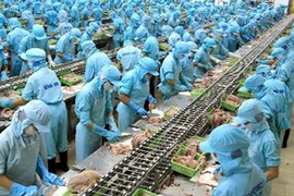 Chế biến cá basa xuất khẩu tại Công ty thủy sản Bình An (Cần Thơ). (Ảnh: Duy Khương/TTXVN)