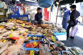 Các loại cá khác nhau được bày bán tại một cửa hàng ở Tokyo. (Nguồn: AFP/TTXVN)