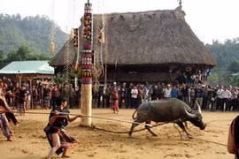Nhà Gươl của người Cơtu. (Nguồn: baotintuc.vn)