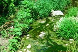 Ảnh minh họa. (Nguồn: lincoln.ne.gov)