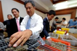 Hải quan Thái Lan bên những con cá sấu Ấn Độ vừa thu giữ. (Nguồn: AFP/TTXVN)