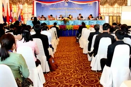 Quang cảnh hội nghị. (Ảnh: Hoàng Chương/Vietnam+)