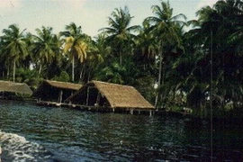 Ảnh minh họa. (Nguồn: Internet)