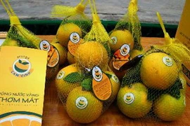 Sản phẩm Cam Vinh. (Ảnh: Lê Bá Liễu/TTXVN)