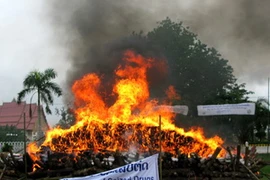 Cảnh sát Tây Ban Nha kiểm tra số ma túy đã bắt giữ được ngày 13/6. (Nguồn: AFP/TTXVN)