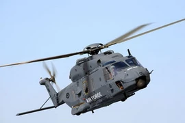 Ảnh minh họa. (Nguồn: Internet)