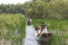 Du khách tham quan rừng tràm Trà Sư, huyện Tịnh Biên, An Giang. (Ảnh: Nhật Anh/TTXVN)