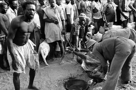 Hiến sinh bò và dê cho đấng tối cao, ảnh chụp năm 1985. (Nguồn: Dân Trí)