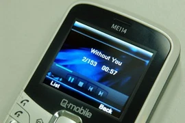 Ảnh minh họa. (Nguồn: Internet)