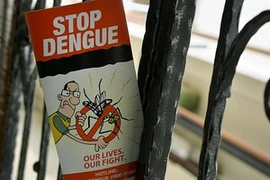 Số ca nhiễm sốt xuất huyết tại Singapore tăng vọt (Ảnh: Strait Times)