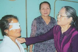 (Ảnh: Minh Ánh/Vietnam+)