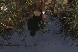 Ảnh minh họa. (Nguồn: Internet)