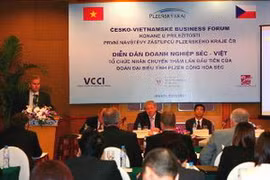 Diễn đàn Doanh nghiệp Việt Nam - CH Séc năm 2011. (Ảnh: Huy Hùng/TTXVN)