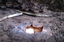 Một thùng phuy chứa thuốc trừ sâu hết hạn sử dụng. (Ảnh: Trịnh Duy Hưng/TTXVN)