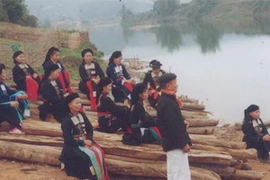 Ảnh minh họa. (Nguồn: dch.gov.vn)