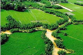 Ảnh minh họa. (Nguồn: Internet)