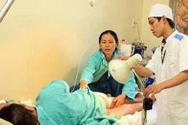 (Ảnh minh họa: Dương Ngọc/TTXVN)