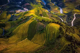 Rực rỡ mùa vàng Mù Cang Chải. (Ảnh: Bùi Văn Lanh/TTXVN)