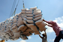 Ảnh chỉ mang tính minh họa (Nguồn: TTXVN)