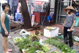 Ảnh chỉ mang tính minh họa (Nguồn: TTXVN)