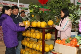 Nhiều đặc sản vùng miền sẽ góp mặt tại Hội chợ Xuân 2015 