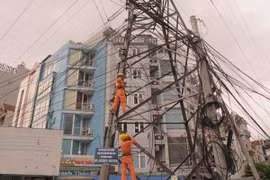EVN sẽ đảm bảo cung cấp đủ điện trong dịp Tết Nguyên đán 