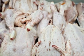 Ảnh chỉ mang tính minh họa (Nguồn: theguardian.com)