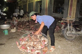 Hà Nội đã kiểm soát được gia cầm nhập lậu đưa vào chợ Hà Vỹ 