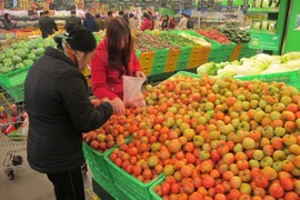 Hàng hóa của Việt Nam sẽ phải cạnh tranh nhiều hơn trên sân nhà khi tham gia các Hiệp định thương mại tự do (Ảnh: Đức Duy/Vietnam+)