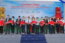 FrieslandCampina đầu tư vùng chăn nuôi bò sữa bền vững tại Hà Nam (Ảnh: Đức Duy/Vietnam+)