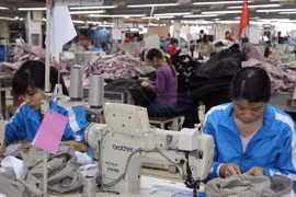 Ảnh chỉ mang tính minh họa (Nguồn: TTXVN)