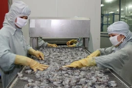 Chế biến tôm xuất khẩu tại Hậu Giang. (Ảnh: Huy Hùng/TTXVN)
