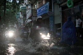 Ảnh chỉ có tính minh họa. (Ảnh: Tuấn Anh/TTXVN)