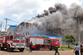 Đồng Nai: Cháy tại công ty sản xuất nhôm 100% vốn nước ngoài