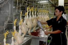 Ảnh chỉ có tính minh họa. (Ảnh: Đình Huệ/TTXVN)