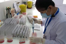  Sàng lọc máu tại Ngân hàng tế bào gốc của Bệnh viện Truyền máu-Huyết học Thành phố Hồ Chí Minh. (Ảnh: Phương Vy/TTXVN)