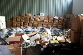 Ảnh chỉ có tính minh họa. (Ảnh: Mạnh Linh/TTXVN)