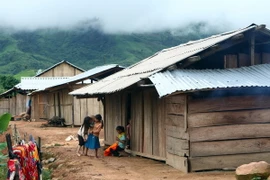 Ảnh chỉ có tính minh họa. (Ảnh: Trọng Đức/TTXVN)