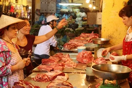 Ảnh chỉ có tính minh họa. (Ảnh: Trần Việt/TTXVN)