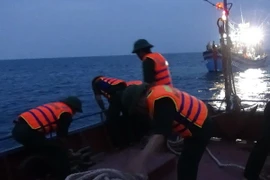 Ảnh chỉ có tính minh họa. (Ảnh: Đức Thọ/TTXVN)