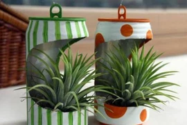 Gameshow đầu tiên và duy nhất trên truyền hình về chủ đề môi trường