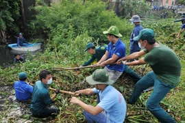 Thủ tướng chỉ thị triển khai thi hành Luật Bảo vệ môi trường