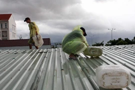 Mô hình "giảm nhẹ thiên tai" giúp nông dân yên tâm bám biển