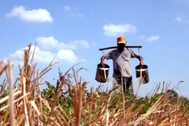 ​Cảnh báo nguy cơ thiếu nước ở Đồng bằng sông Cửu Long 