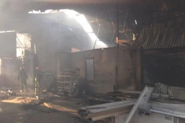 Khống chế thành công đám cháy tại các xưởng trong Công ty Lâm sản