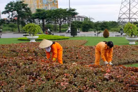 Hà Nội đặt mục tiêu tăng tỷ lệ bình quân cây xanh lên gấp 6 lần
